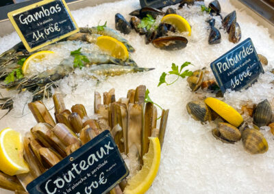 Nos fruits de mer - Les Requins Marteaux